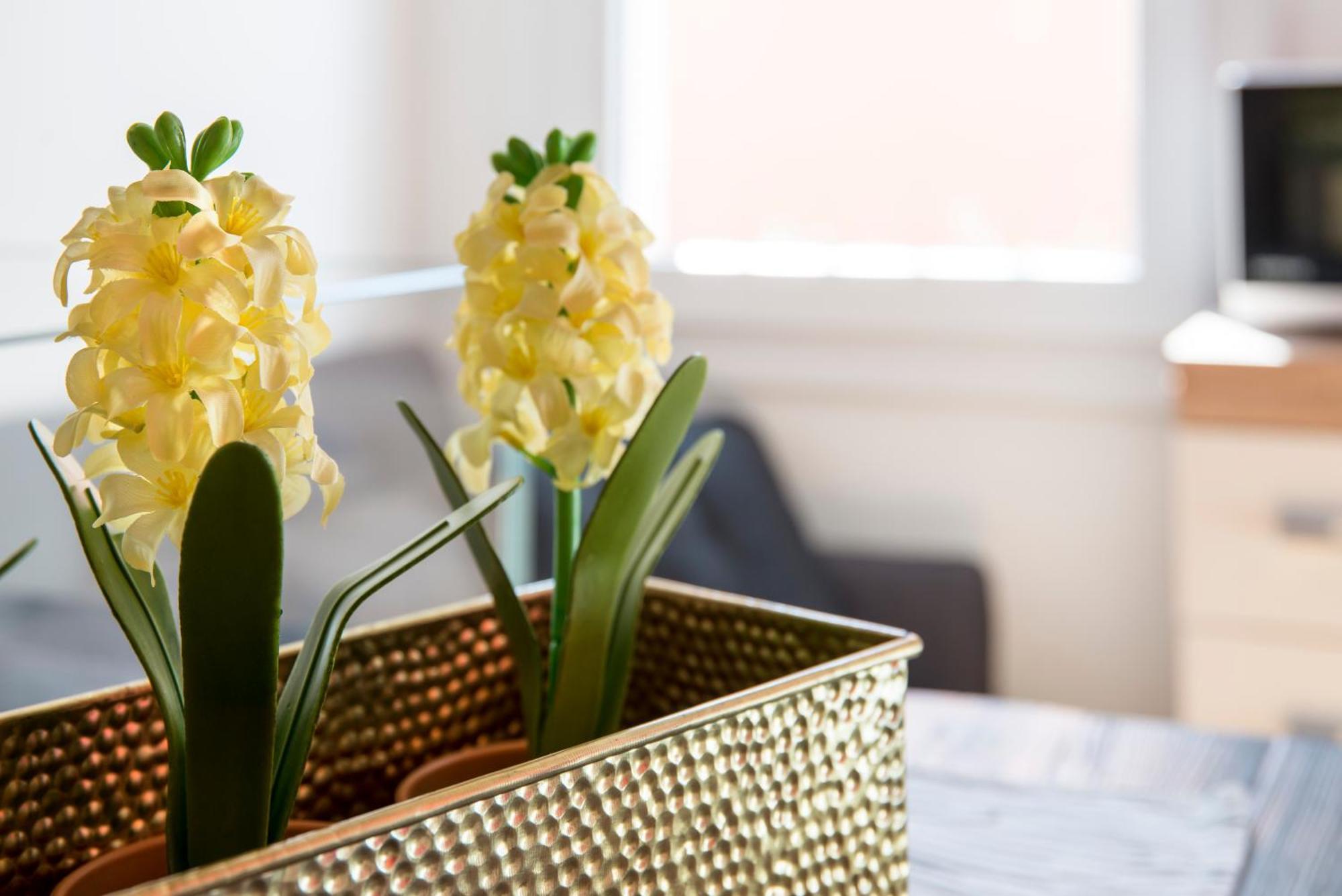 Tre Elementi, Guest House Close The Grand Canal Venice Ngoại thất bức ảnh